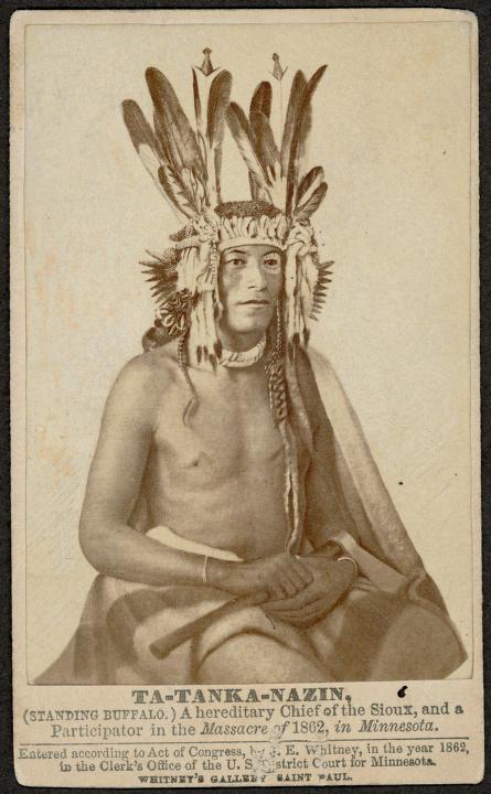 standingbuffalo.jpg